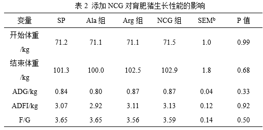 法甲联赛直播在线观看