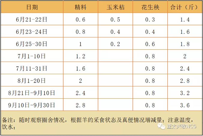 法甲联赛直播在线观看