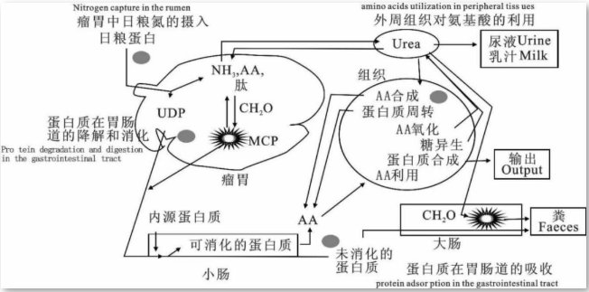 法甲联赛直播在线观看