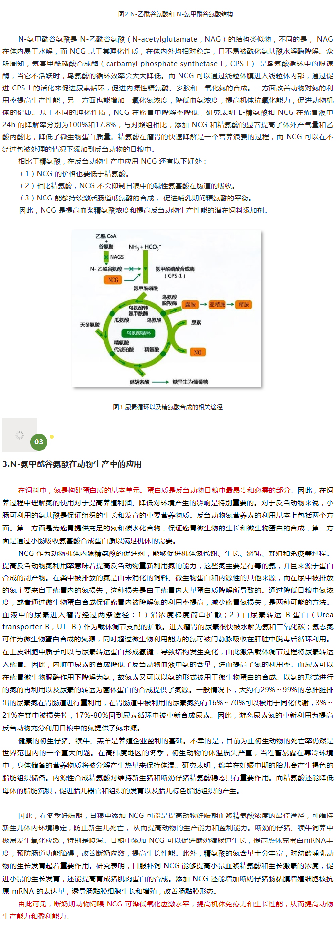 法甲联赛直播在线观看